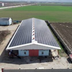 Muş’ta enerji ve et üretimi harmanlanan çiftlik